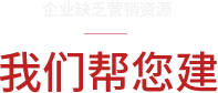 網(wǎng)站營(yíng)銷方案