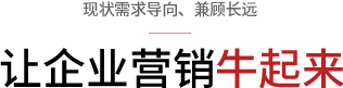 企業(yè)網(wǎng)站營(yíng)銷